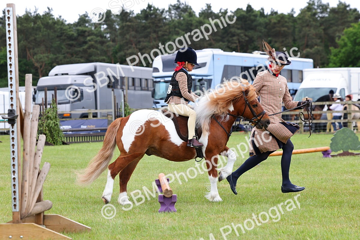 SBM_08241 - Class 42-43 - LIHS BSPS Heritage Working Sports Pony