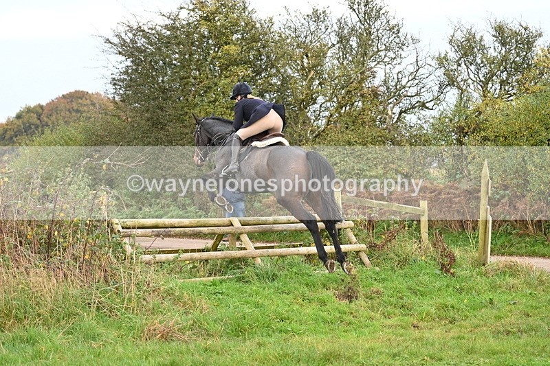 WJ7_0291 - Camera 1 & Last fence