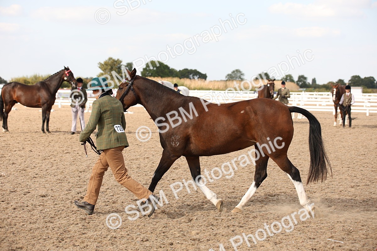 SBM_08205 - Class 27 - IH Competition Horse-Pony