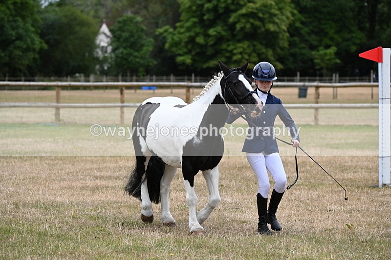 WJ6_4392 - Class 10 Coloured In-hand
