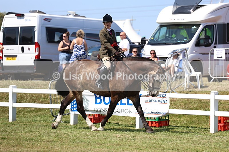 3E7A7490 - Rising Star Ridden Championship