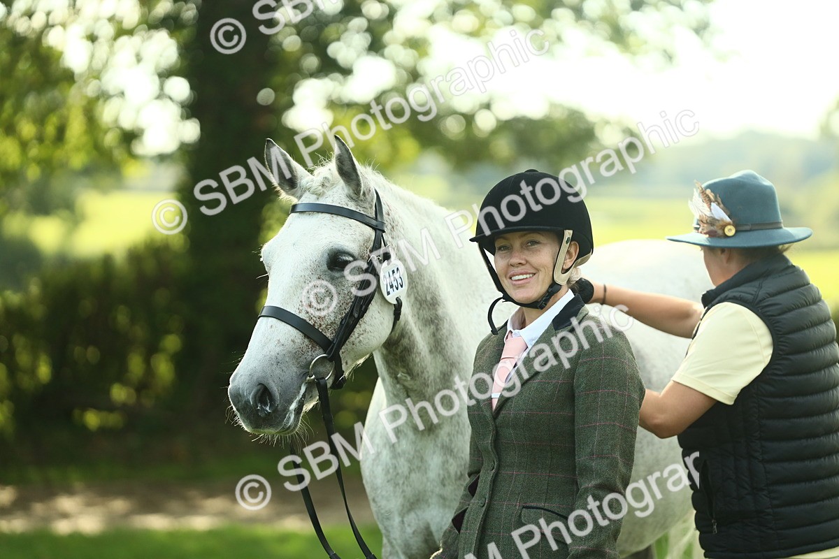 SBM_52127 - S33 - Working Hunter & Working Show Horse