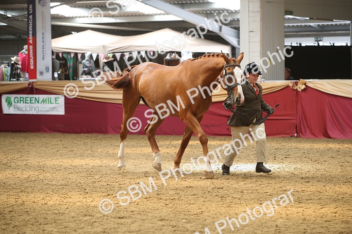 SBM_05631 - Class 9R - Regional IH Pre-Vet