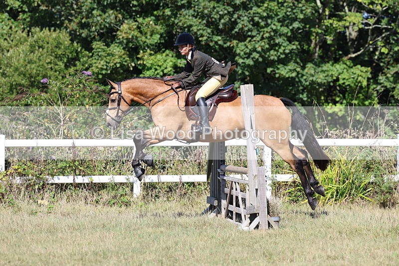 3E7A5820 - Class 5: Working Hunter 90cm