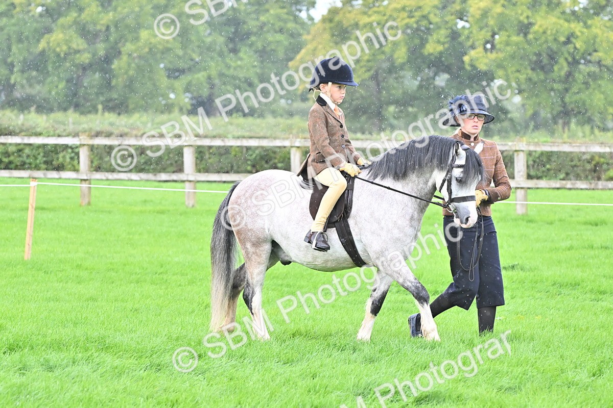 SBM_40111 - S20 - Lead Rein Mountain & Moorland Pony