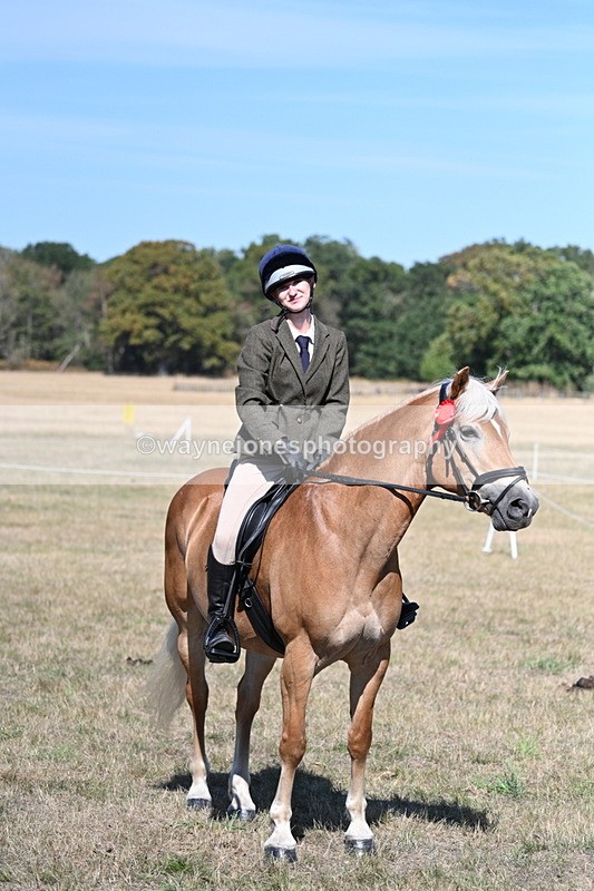 WJ7_1311 - Class 41 Prettiest Mare