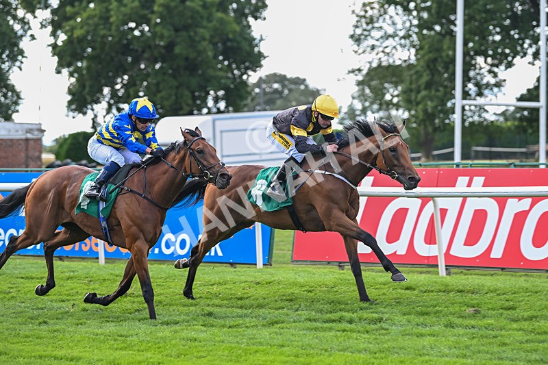 020825-Race 6-Big Leader-3489 - Race 6