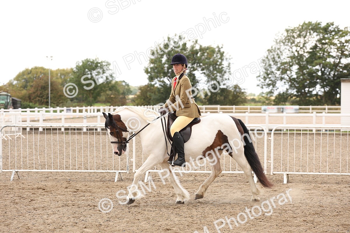 SBM_04202 - Class 54 - Riding Club Horse/Pony