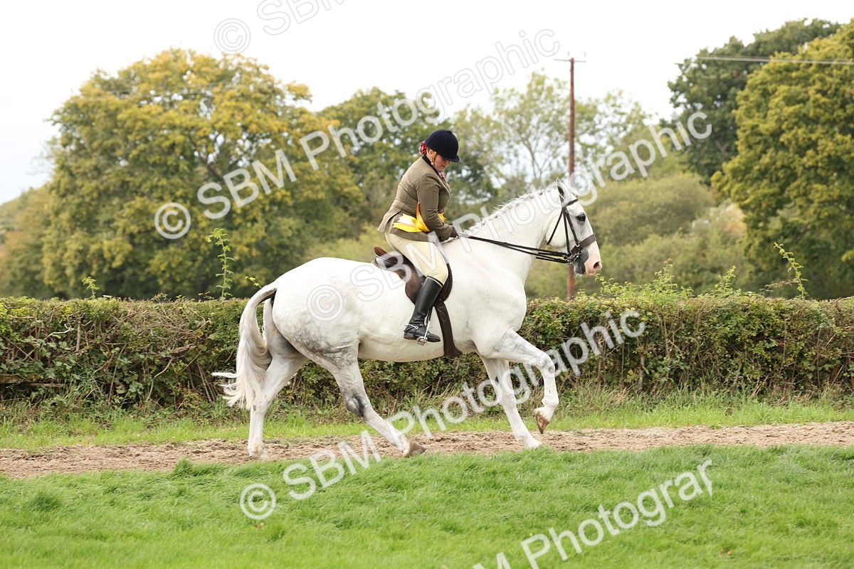 SBM_66423 - S66 - Hunter Ridden