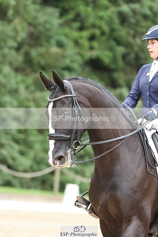 240810-162755-04233 - 232-Brooklyn.Daw-Roulette.MKM