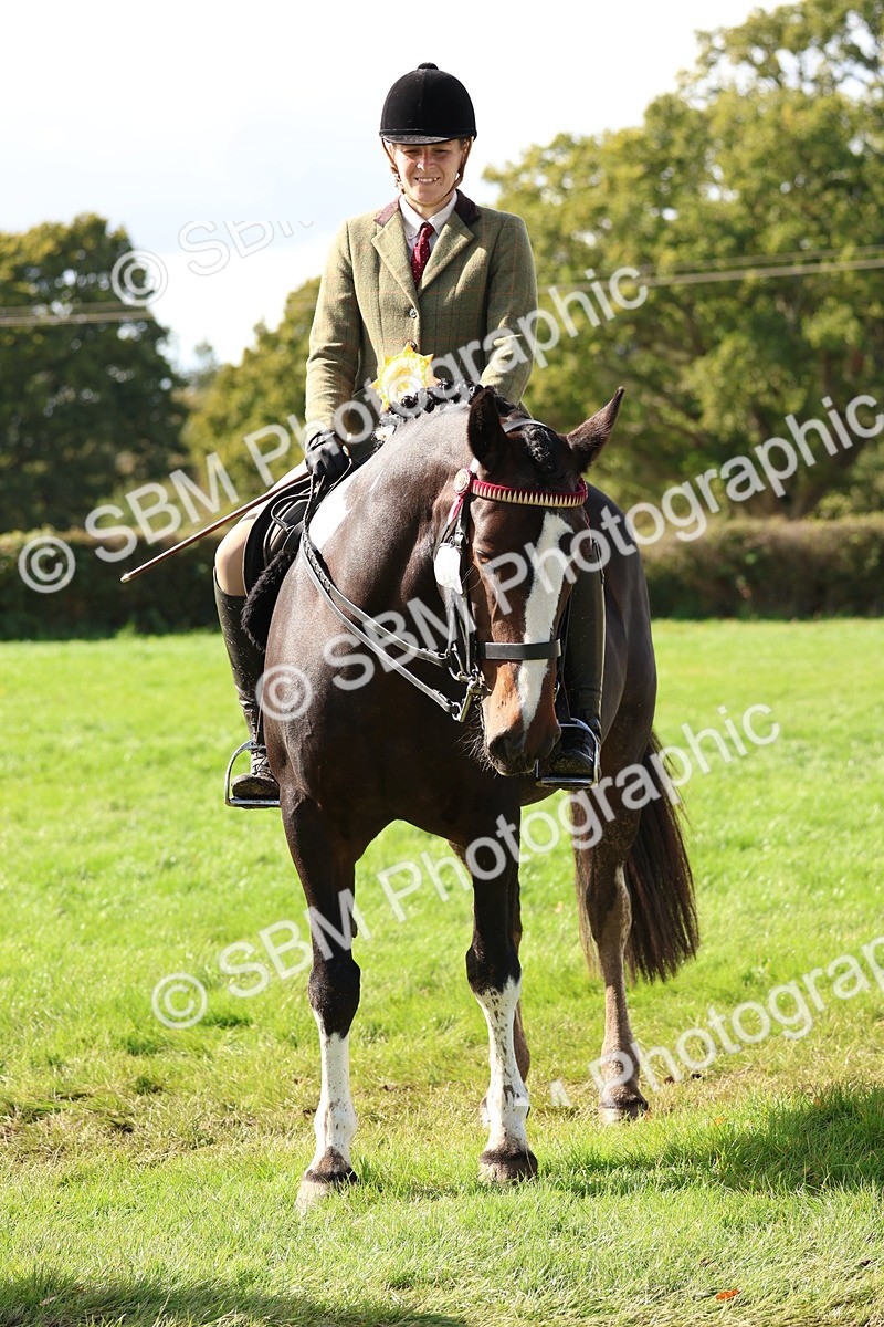 SBM_45332 - S27 - Young Veteran Ridden