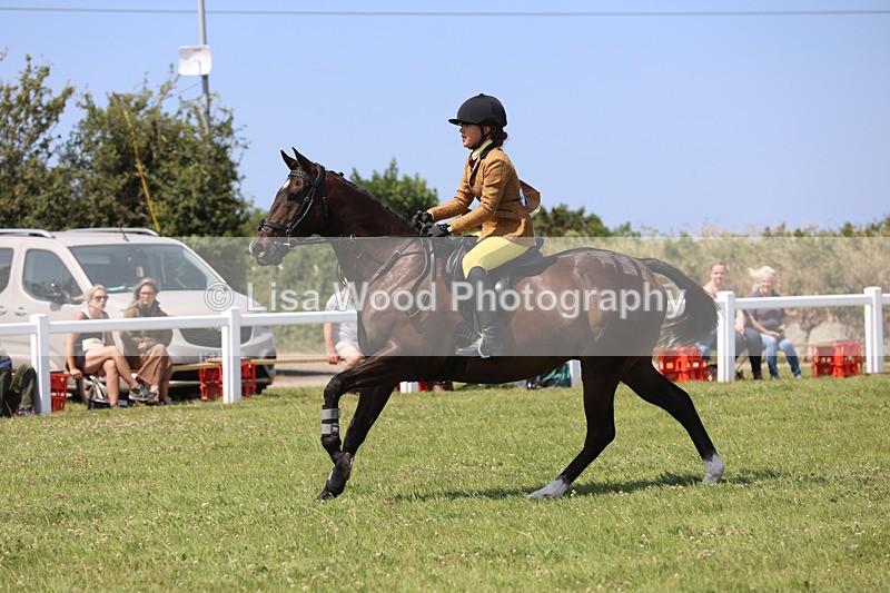 JPP_3065 - Class 22: Working Hunter 70cm