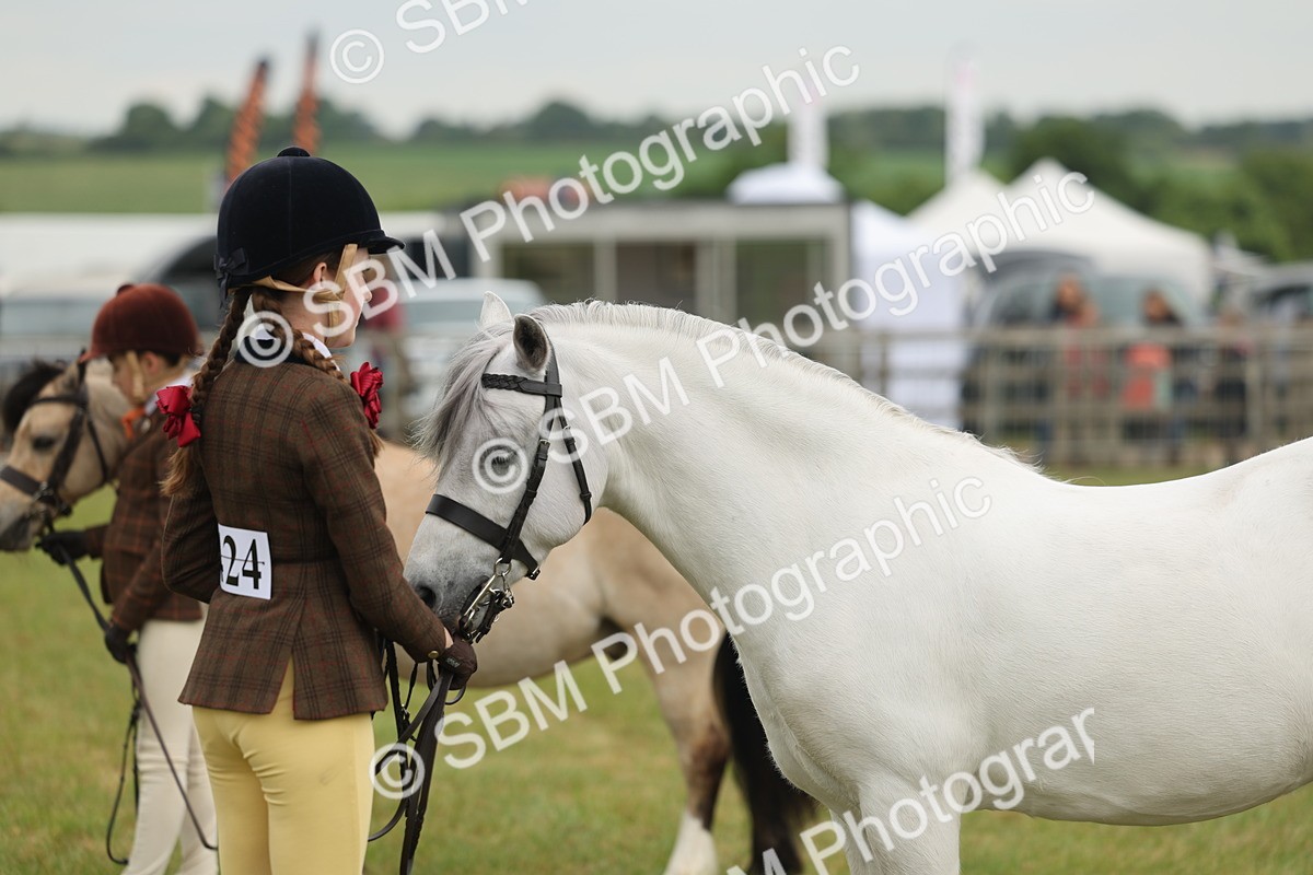 SBM_07113 - Class 76-77 - Ridden M&M Welsh Ponies