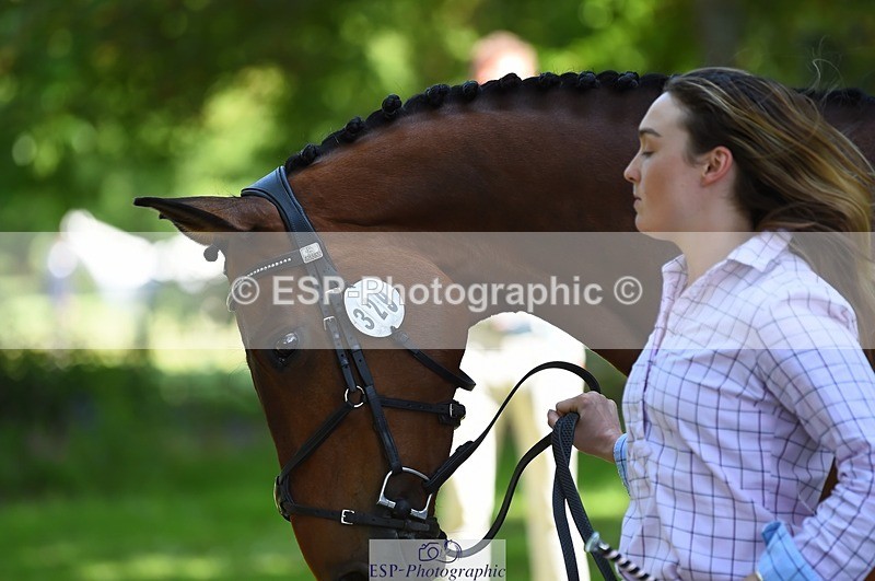 230524-152734-00283 - 329-VINTAGE_GRAFFITI-Alice_Hallows-WEDTrotUp+DR