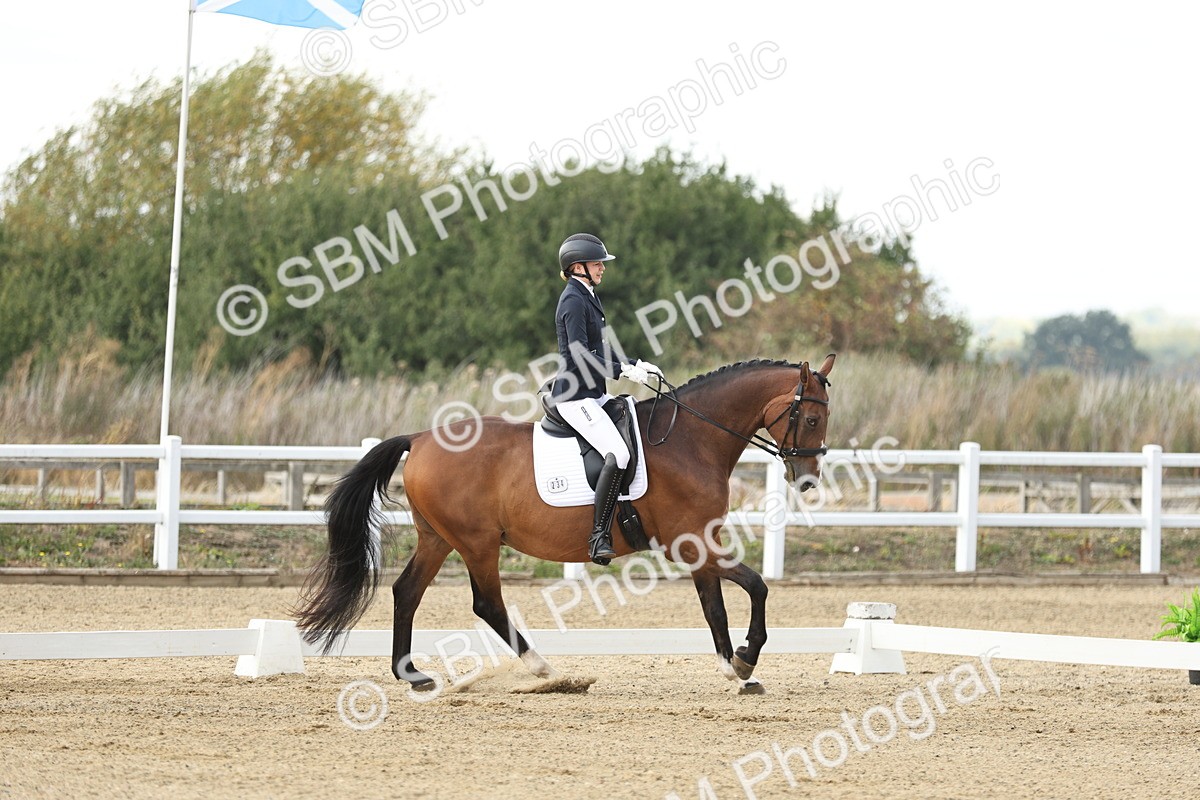 SBM_006516 - Class 21 - Medium 5 Bronze - 9.08-9.48