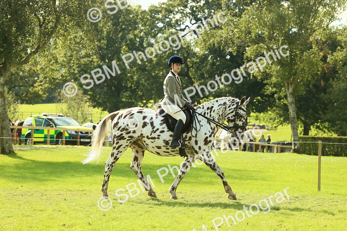 SBM_62391 - S62 - Foreign Breeds Ridden
