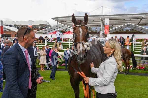 260823-Race 5-Albasheer-1281 - Race 5 Sky Bet Constantine Handicap