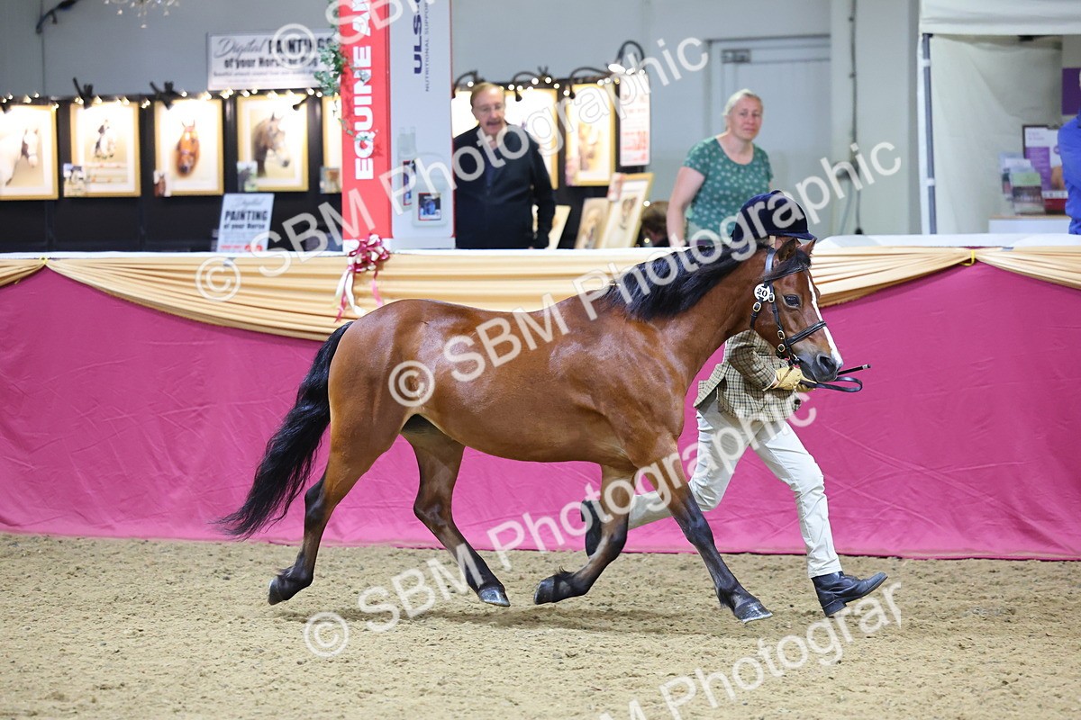 SBM_20806 - Class 902 - Supreme Final IH Veteran