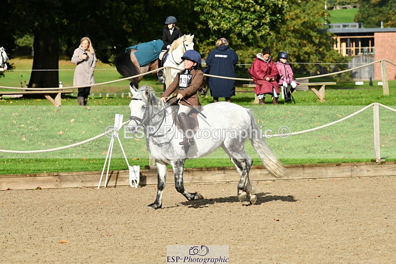 251004A-101951-00409 - Classes 1-2-3 40cm