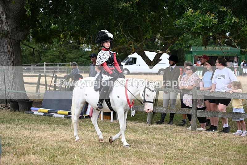WJ6_4607 - Class 11 Fancy Dress
