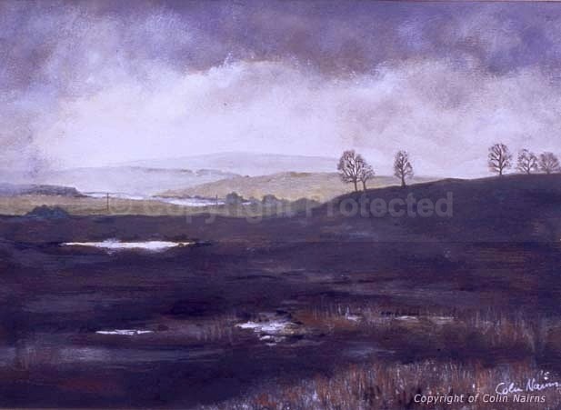 'Near Gleneagles' - Landscapes