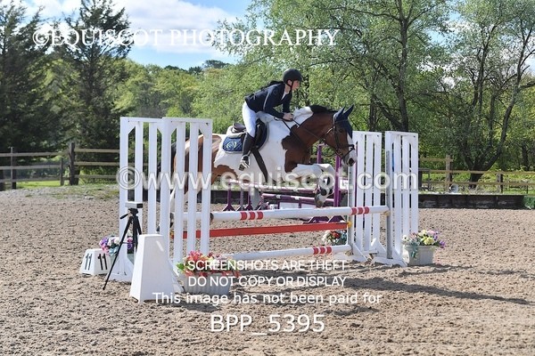 BPP_5395 - CLASS 22 SUN Club/ Unaffiliated 80cms Open