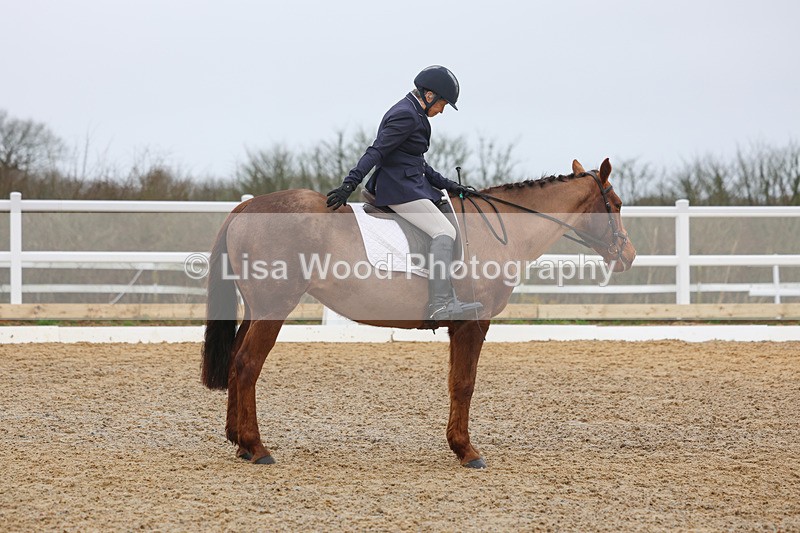 3E7A1100 - Class 6: Novice 1 2024 Section B