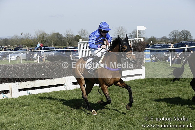 PtP 260317 220 - Mendip Farmers Point-to-Point Ston Easton 26/03/17