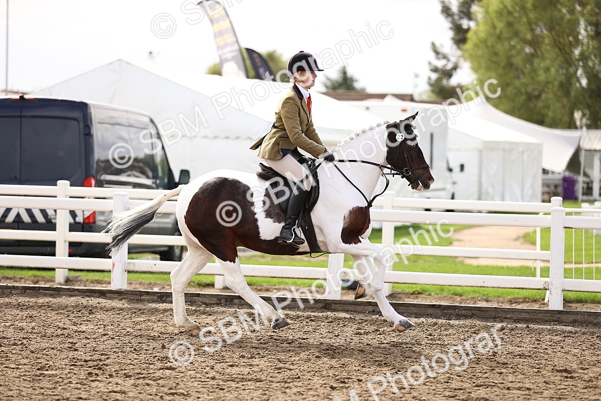 SBM_01734 - Class 55 - Clear Round