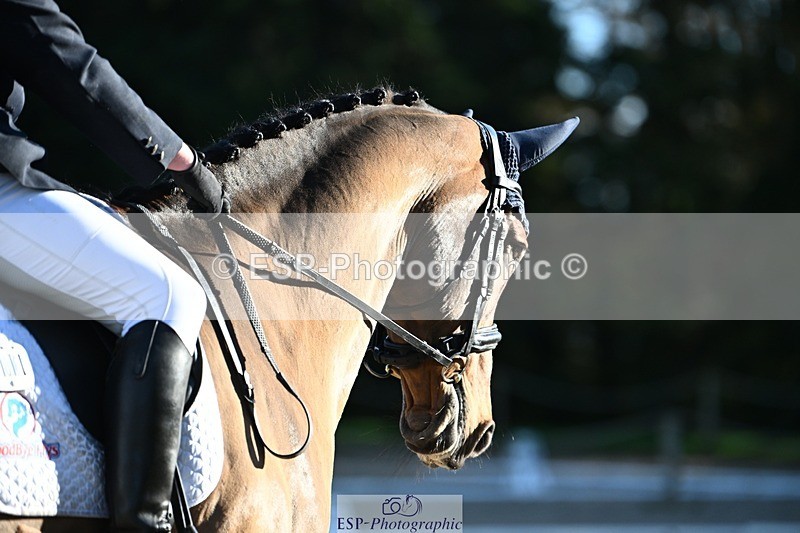 231110-132945-00961 - Cls 4 Novice 39Q