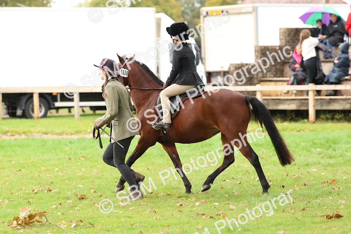 SBM_45031 - S27 - Young Veteran Ridden