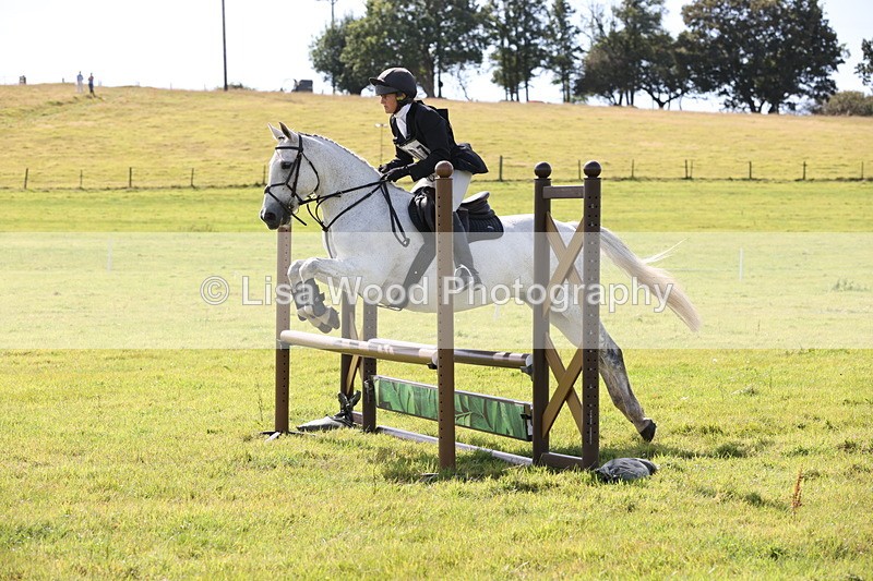JPP_8728 - Class 2: Trekenning: 80cm Showjumping