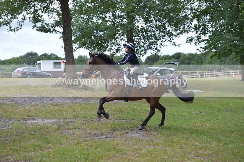 NGP_9186 - Time 12:34 to 12:37