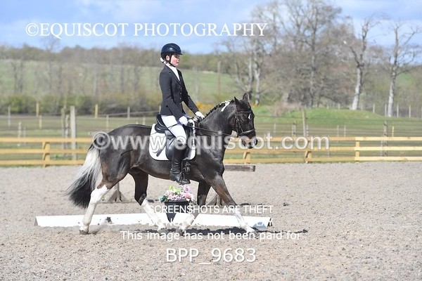 BPP_9683 - NOVICE 6