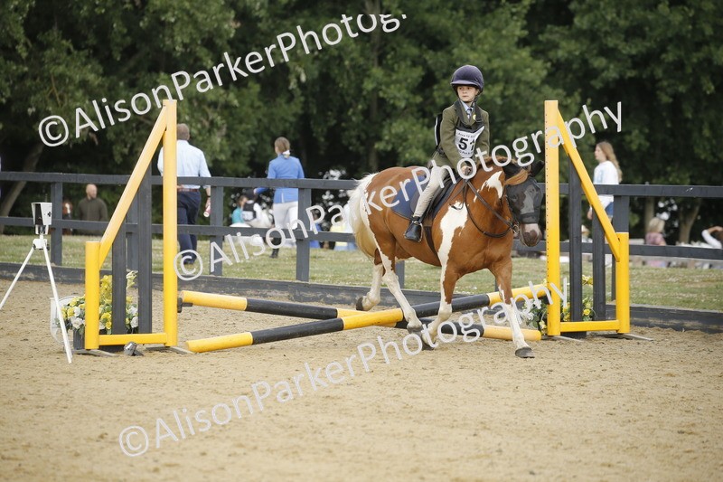 20250622-1284 - 40cm