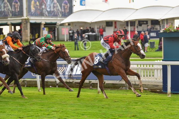 131023-Race 4-Hafeet Alain-9530 - Race 4 3.50pm William Hill Autumn Mile Handicap