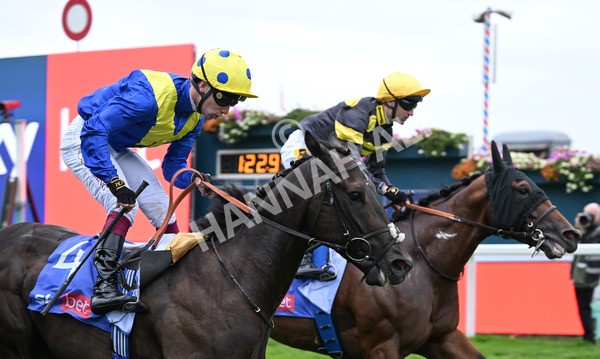 230825-083 Never So Brave - Race 3 3.00pm Sky Bet City Of York Stakes