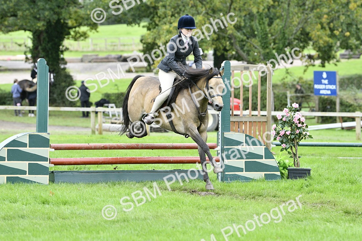 SBM_41361 - S32 - Mountain & Moorland Working Hunter Pony