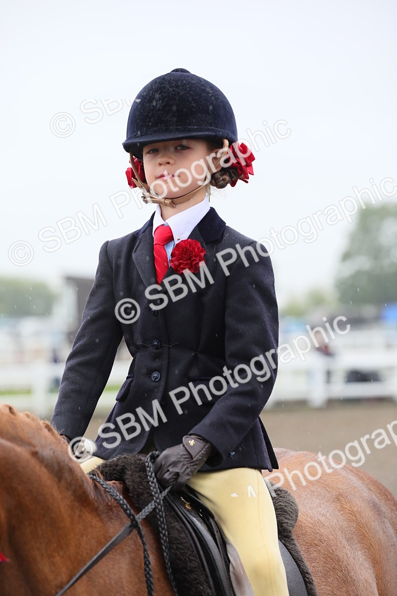 SBM_20621 - Class 804 - Ridden Veteran Pony