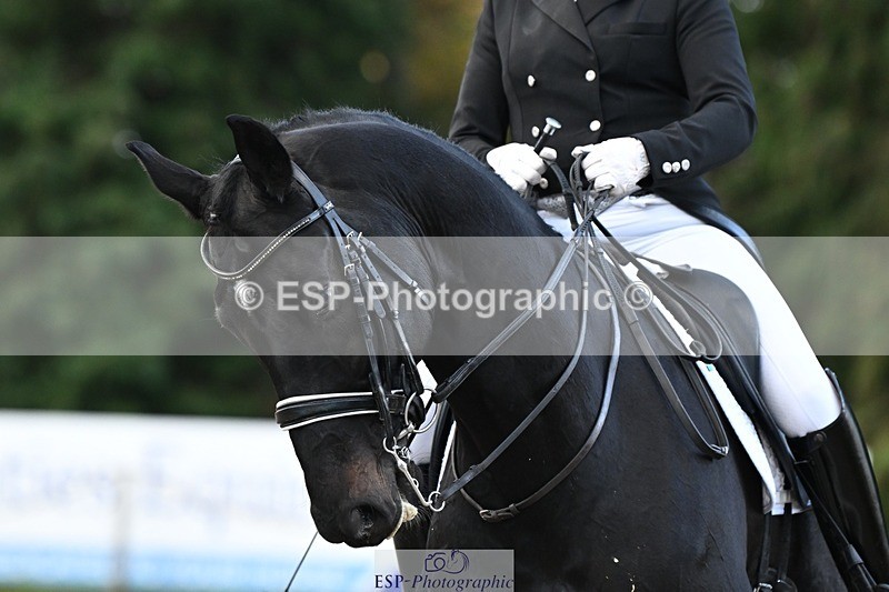 231110-153829-02264 - Cls 11 FEI PSG