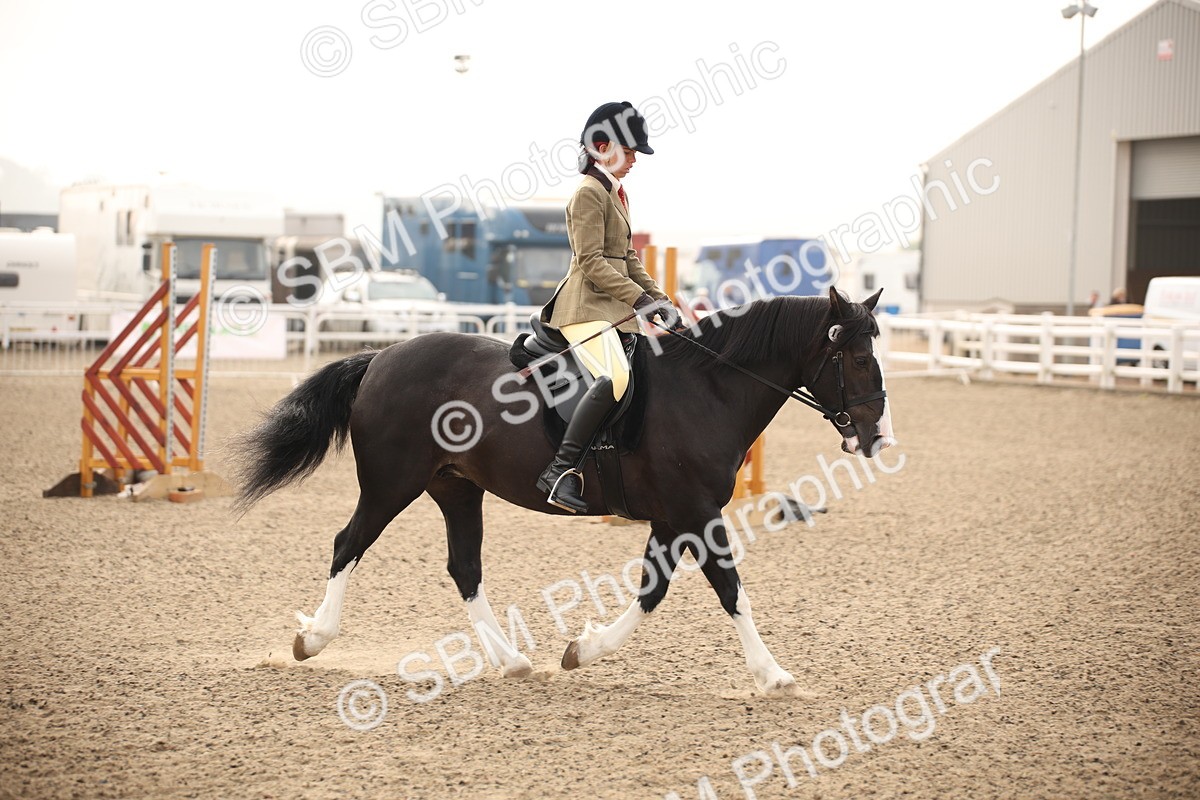 SBM_09762 - Class 401 Riding Club Pony