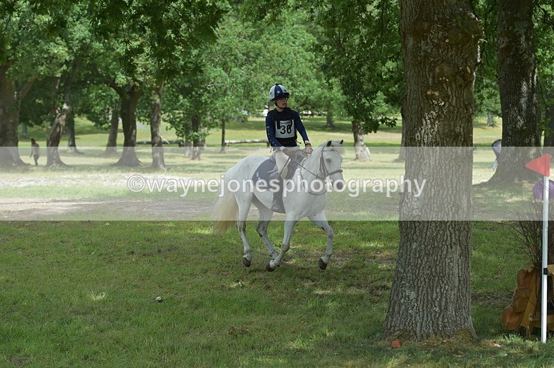 NGP_7865 - Time 11:28 to 11:38