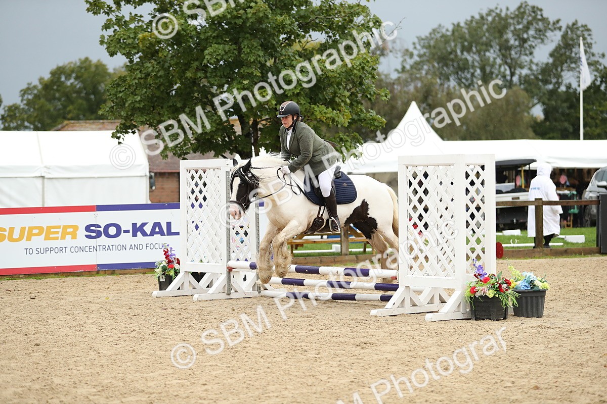 SBM_34419 - J60 Clear Round 50cm