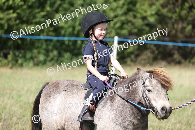 20260906-2751 - Class 25 - Absolute Beginners Pony