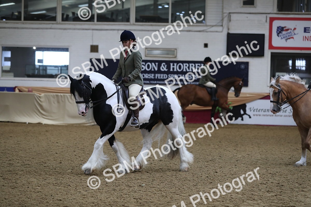 SBM_10410 - Class 102 Equitation (best rider) Adult