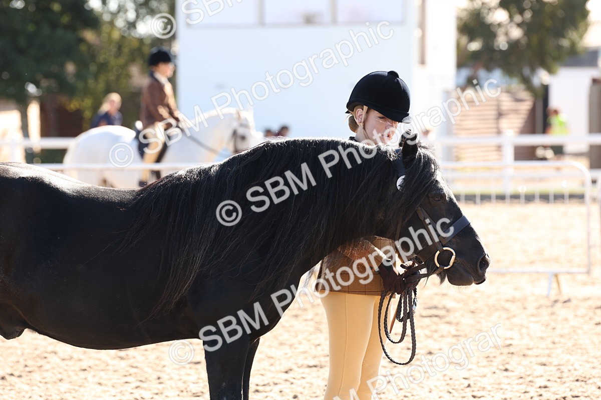 SBM_11750 - Class 204 - Young Handler 11 to 16 years