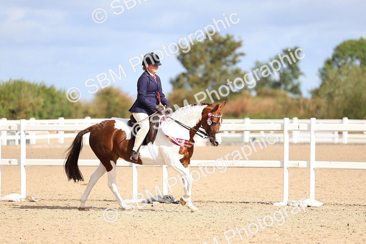 SBM_10157 - Class 304 - Ridden Part Bred Horse Pony