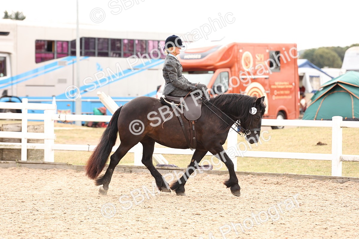 SBM_16387 - Class 211 - Best Side Saddle Horse - Pony