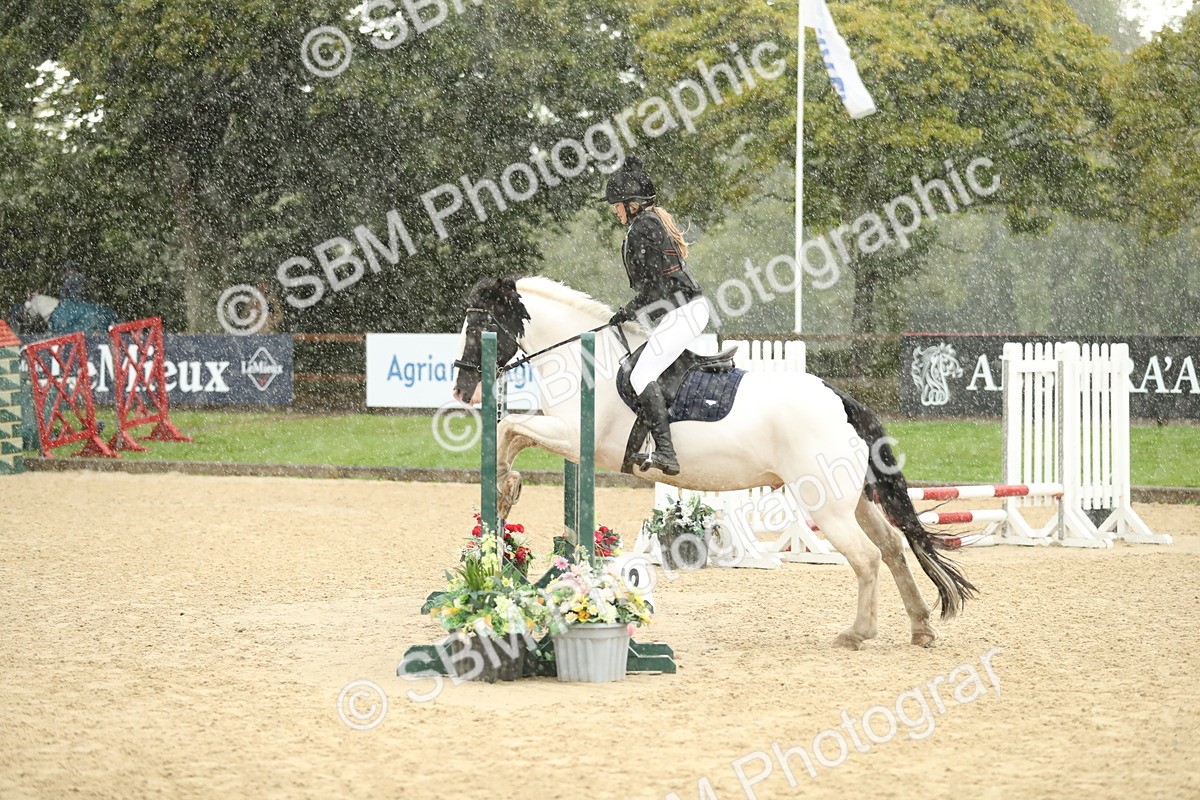 SBM_34290 - J60 Clear Round 50cm
