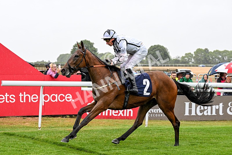 150725-Race 1-Dunkeld Dreamer-0092 - Race 1